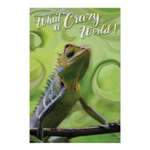 What a Crazy World - A special Lizard Poster