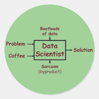 What a data scientist does all day classic round sticker