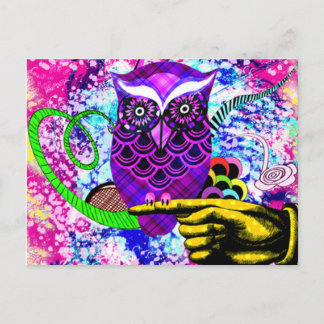 What a Hoot Postcard