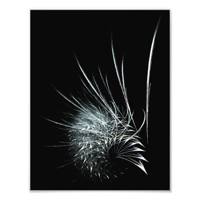"What a tangled web we weave" Photo Print (Front)