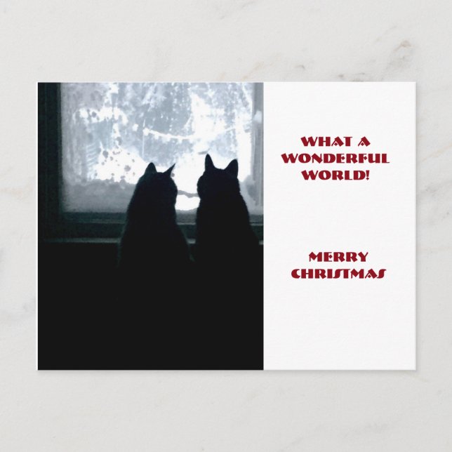 What a wonderful world! holiday postcard (Front)