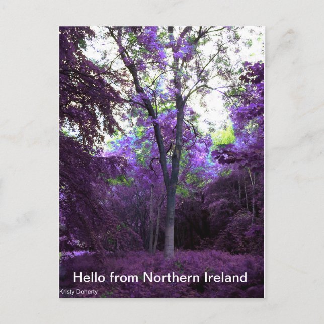 what a world postcard (Front)