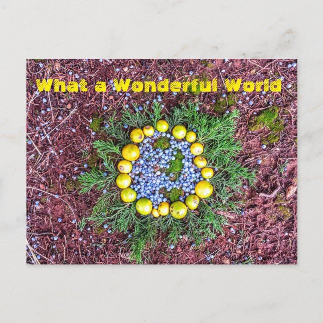 What a World Postcard (Front)