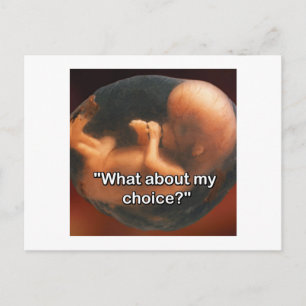 "What about my choice?" Postcard