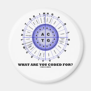 What Are You Coded For? (Amino Acid Wheel) Magnet