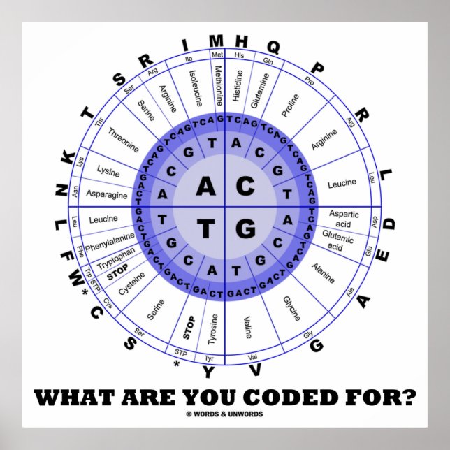 What Are You Coded For? (Amino Acid Wheel) Poster (Front)
