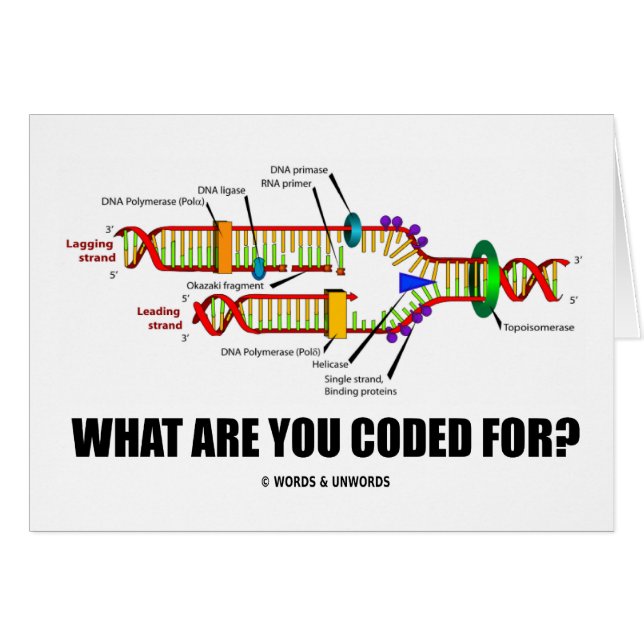 What Are You Coded For? (DNA Replication) (Front Horizontal)
