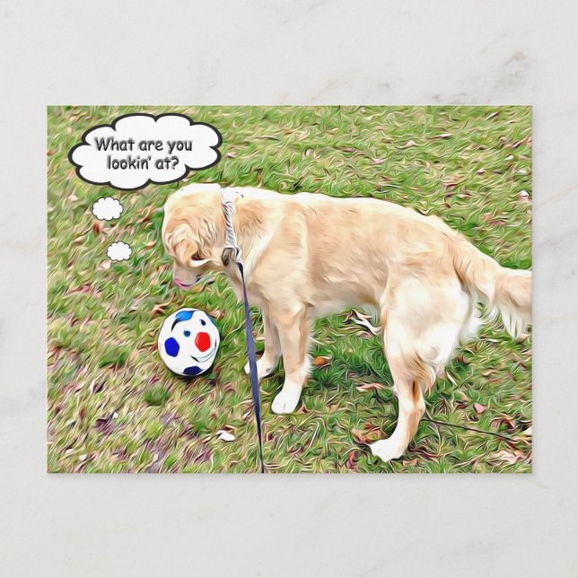 What are you lookin' at Golden face-off Postcard (Front)