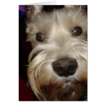 What are YOU Looking At?