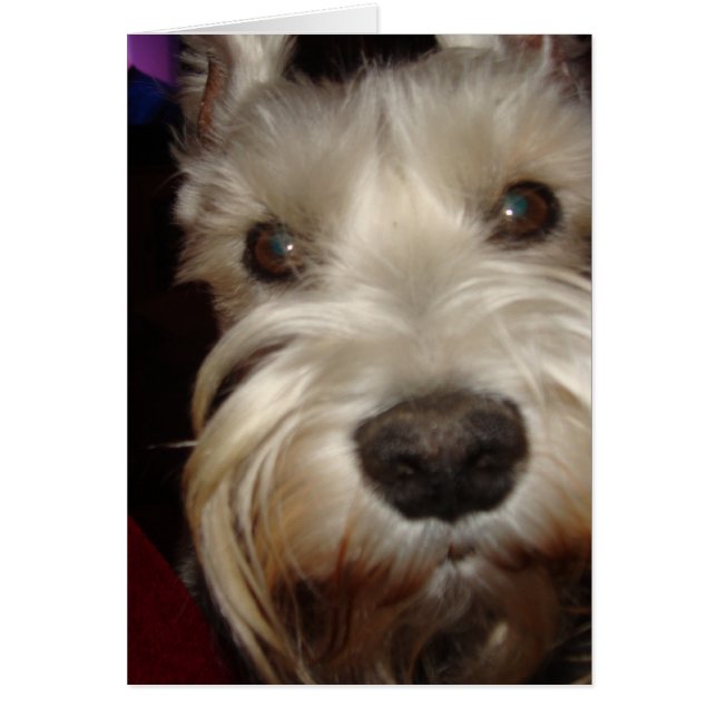 What are YOU Looking At? (Front)