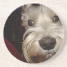 What are YOU Looking At?