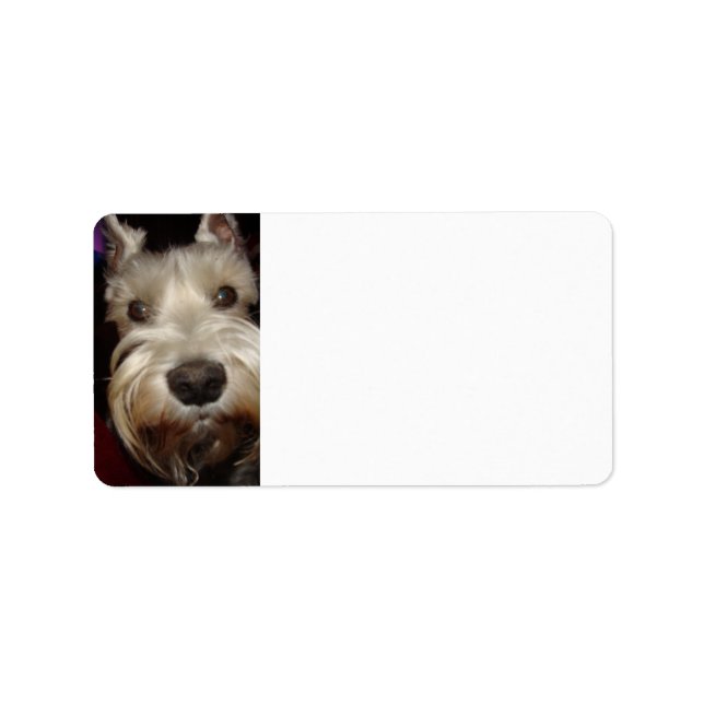 What are you looking at? label (Front)