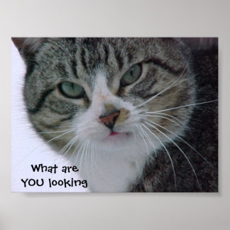 What are YOU looking at?!? Poster
