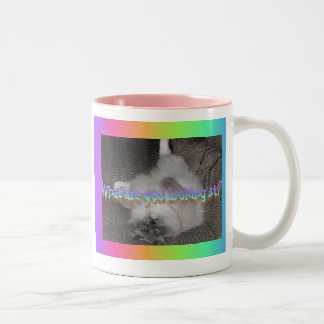 What are you looking at? Two-Tone coffee mug (Right)