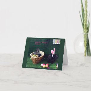 What Bunny Note Card