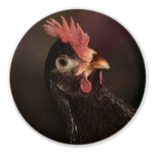 What ceramic knob