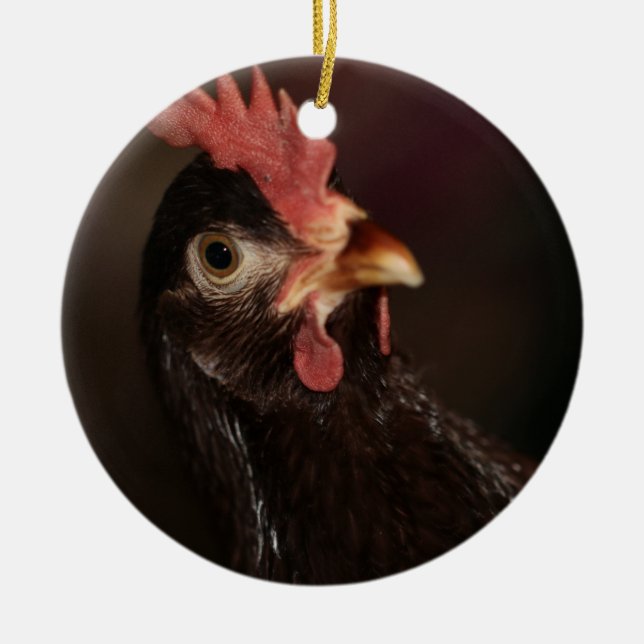 What? Ceramic Ornament (Front)