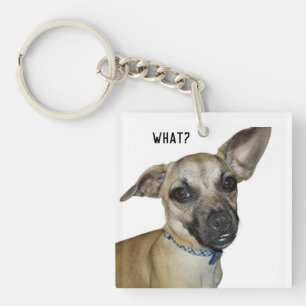 "What?" Chihuahua and Pug Breed Puppy Dog  Keychain