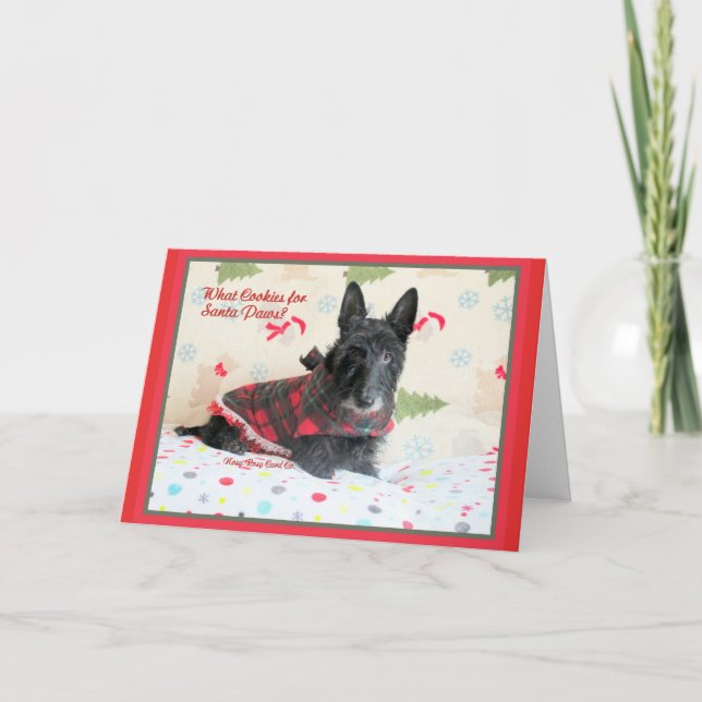 What Cookies? Holiday Card (Front)