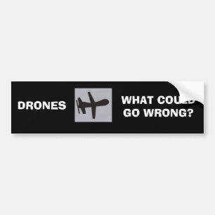 WHAT COULD GO WRONG? BUMPER STICKER
