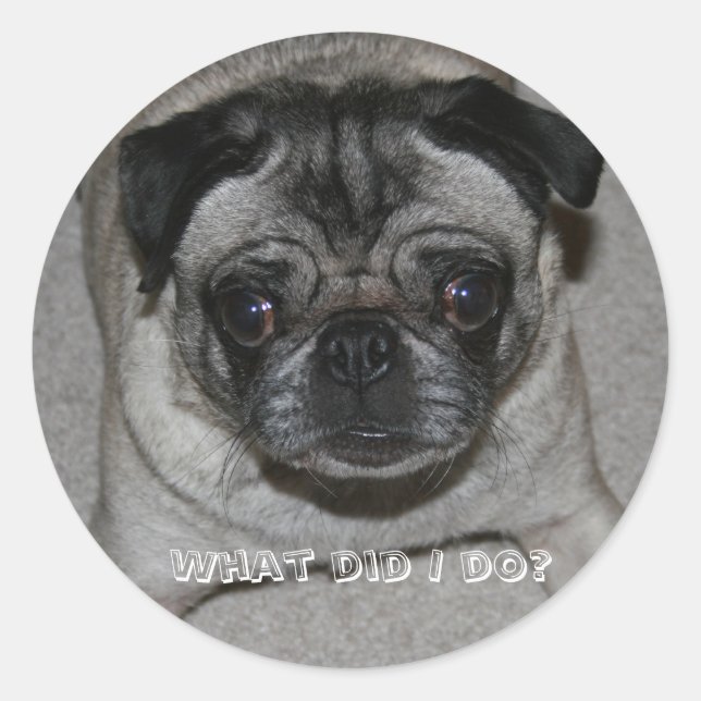 What did I do? sticker (Front)
