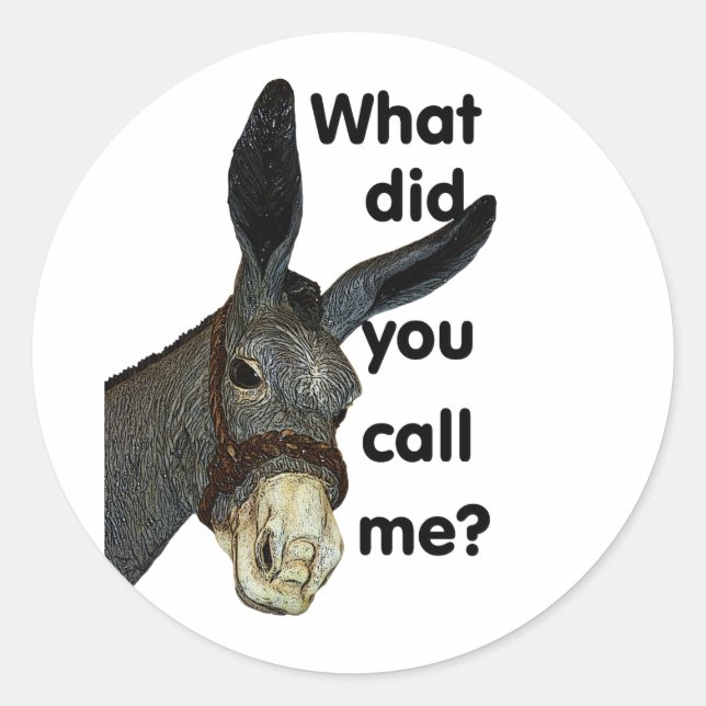 What did you call me? classic round sticker (Front)