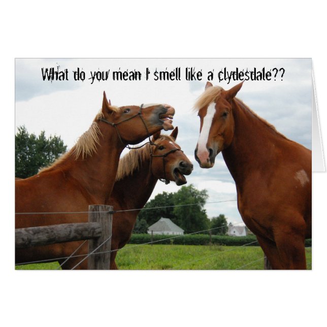 What do you mean I smell like a clydesdale card (Front Horizontal)