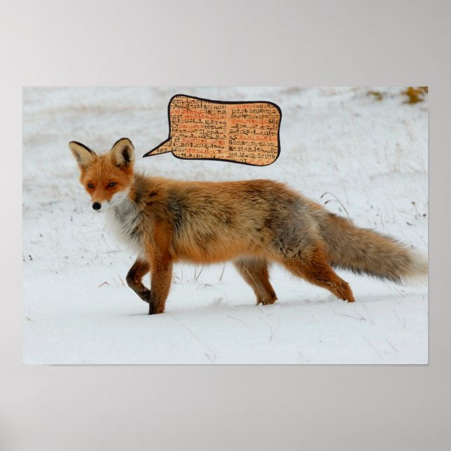 What does the fox say? Ylvis tribute art print (Front)