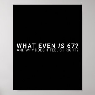 What Even Is 67 Meme  Poster
