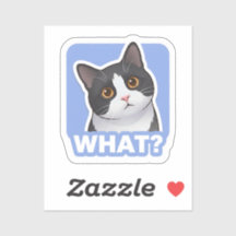 WHAT? Funny Cat Sticker – Cute Confused Cat Meme