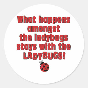What Happens  . . . Ladybugs Classic Round Sticker