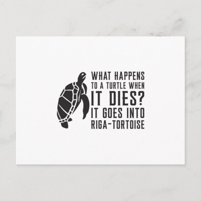 What Happens To A Turtle Lover Turtles Sea Gift Postcard (Front)