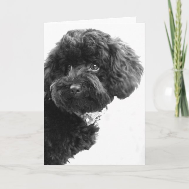 What? Holiday Card (Front)