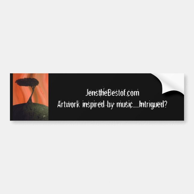 What I see bumper sticker (Front)