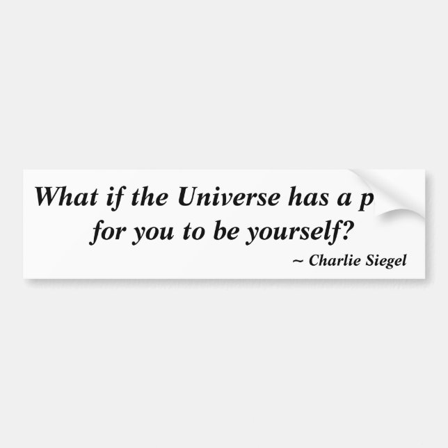 What if the Universe has a plan for you to be... Bumper Sticker (Front)
