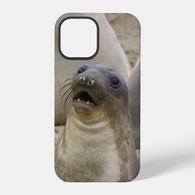 WHAT??? iPhone CASE (Back)