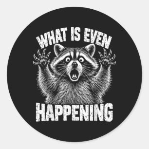 What Is Even Happening Funny Raccoon Meme Classic Round Sticker