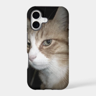 What is he thinking?