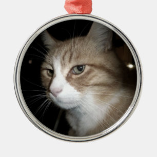 What is he thinking? metal ornament