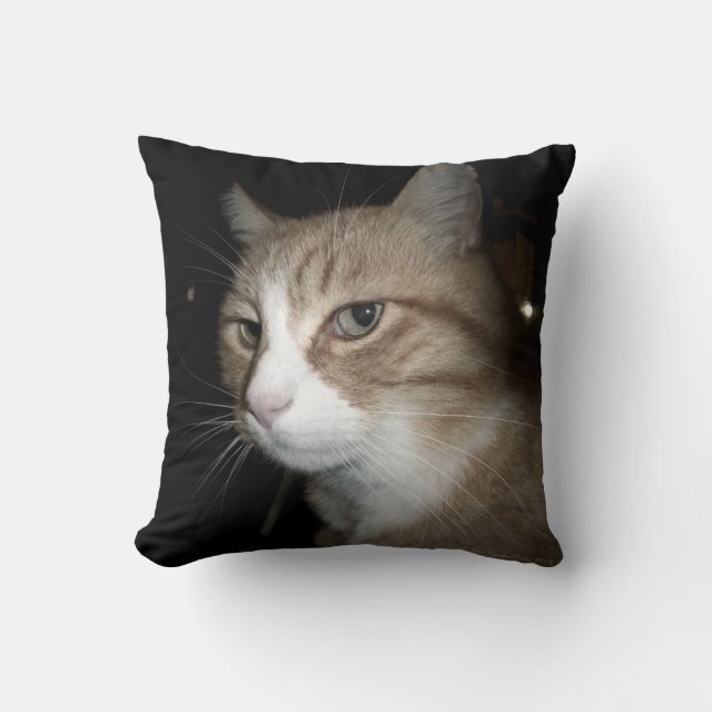 What is he thinking? throw pillow (Front)