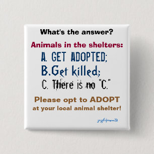 What is the correct answer for shelter animals? 2 inch square button