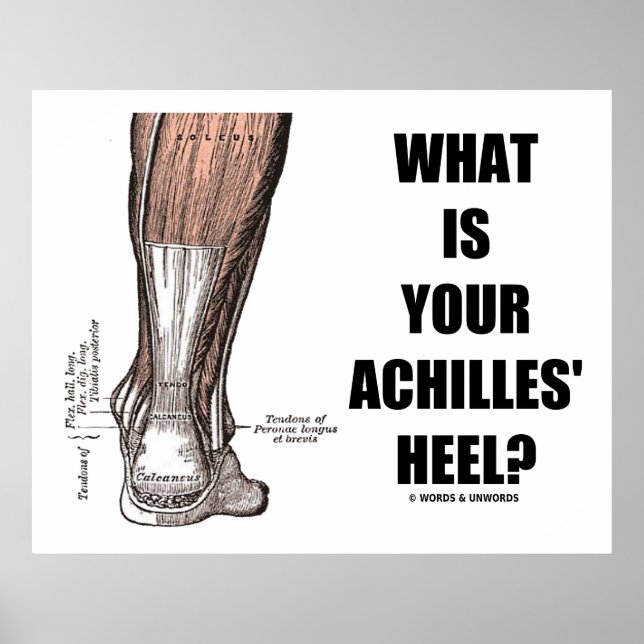 What Is Your Achilles' Heel? (Heel Anatomy) Poster (Front)