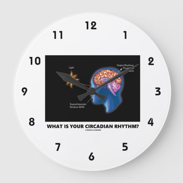 What Is Your Circadian Rhythm? Large Clock (Front)