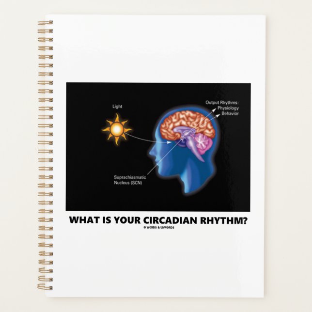 What Is Your Circadian Rhythm? Planner (Front)