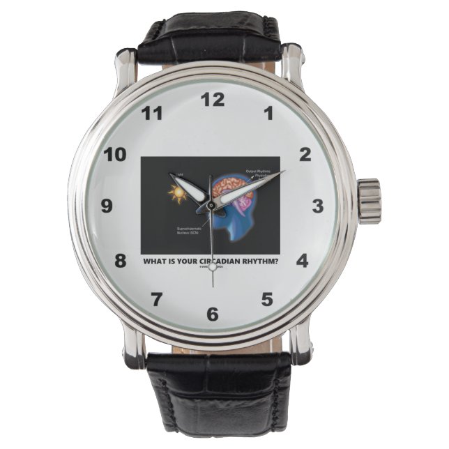 What Is Your Circadian Rhythm? Watch (Front)