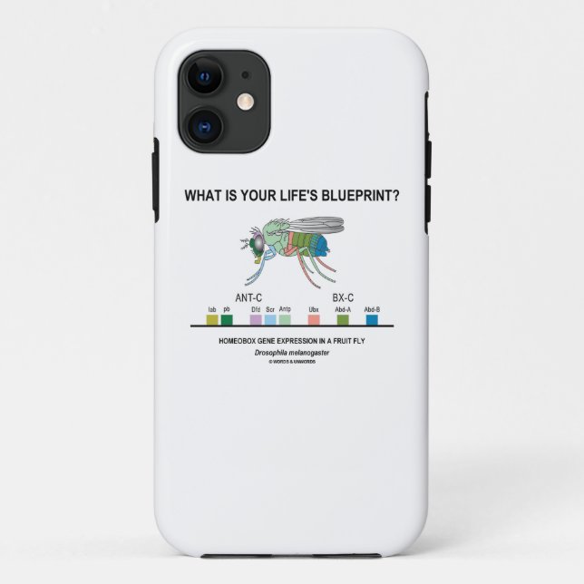 What Is Your Life's Blueprint? (Gene Expression) Case-Mate iPhone Case (Back)