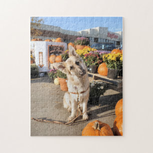 What? Jigsaw Puzzle