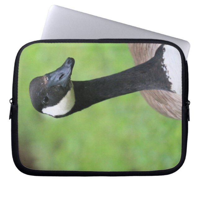 What? Laptop Sleeve (Front)