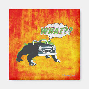 What? Magnet