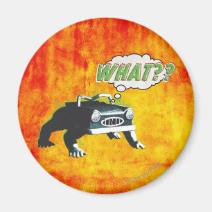 What? Magnet